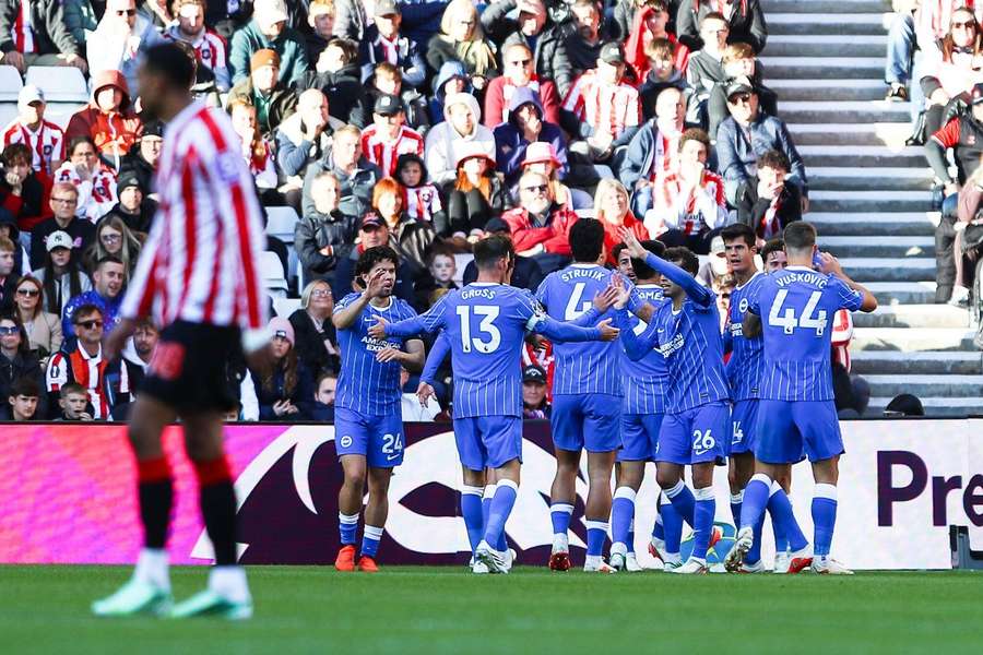 Brighton celebrate scoring their opener against Sunderland Brighton celebrate scoring their opener against Sunderland