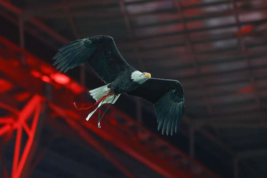 Benfica emitiu comunicado após presença de adeptos no Benfica Campus Benfica emitiu comunicado após presença de adeptos no Benfica Campus
