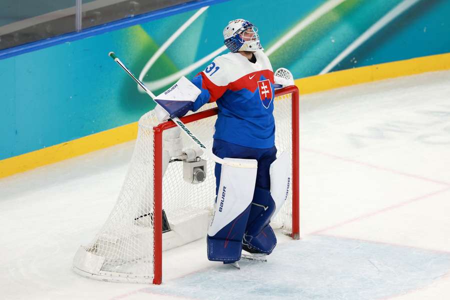 Hlavaj bude o NHL bojovať v Toronte. Hlavaj bude o NHL bojovať v Toronte.