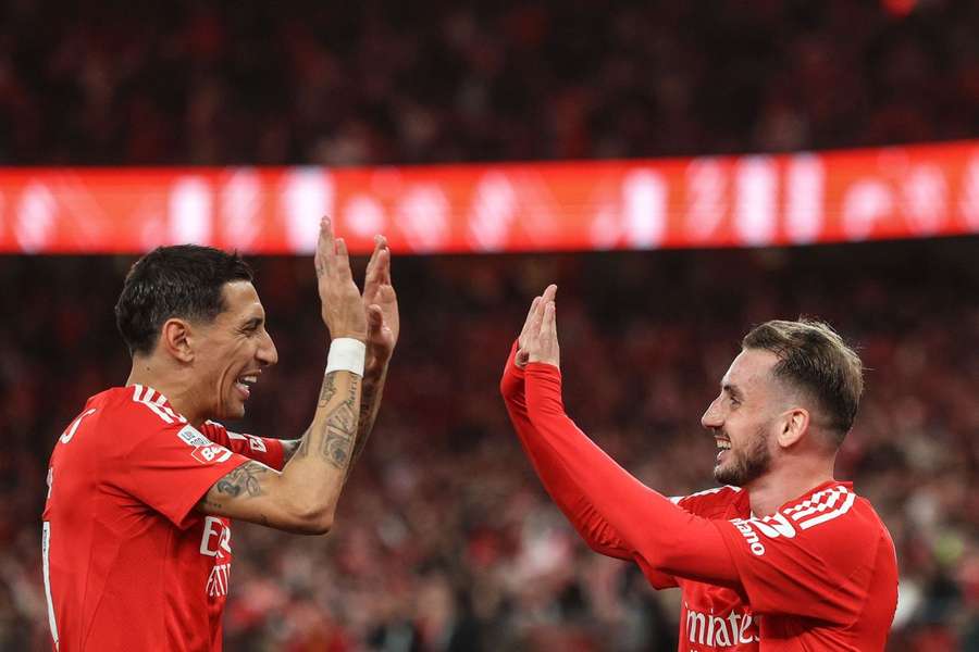 Benfica procura afastar-se do Sporting na liderança da Liga Portugal