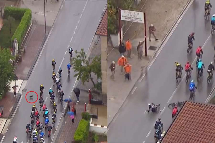 Remco Evenepoel, principalul favorit al cursei Giro D'Italia, s-a prăbușit pe asfalt din cauza unui câine