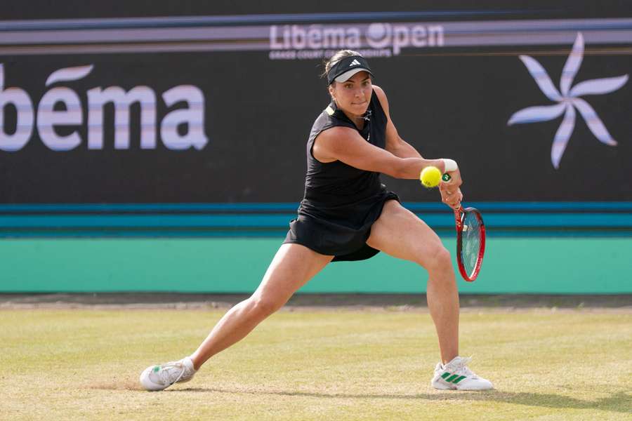 Gabriela Ruse a pierdut finala turneului de la Hertogenbosch
