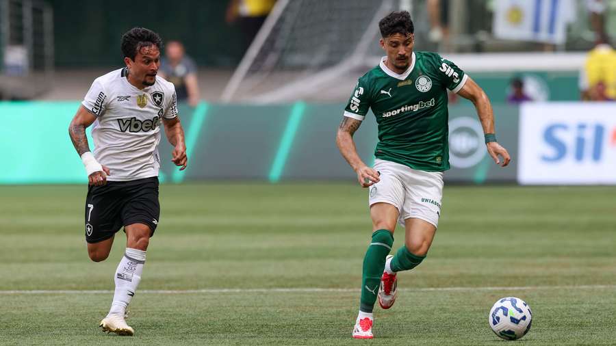Botafogo e Palmeiras se enfrentam pelo Brasileirão