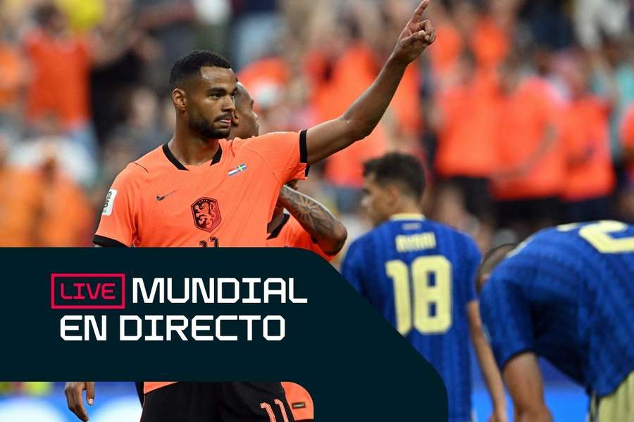 Cody Gakpo celebra un gol ante Suecia