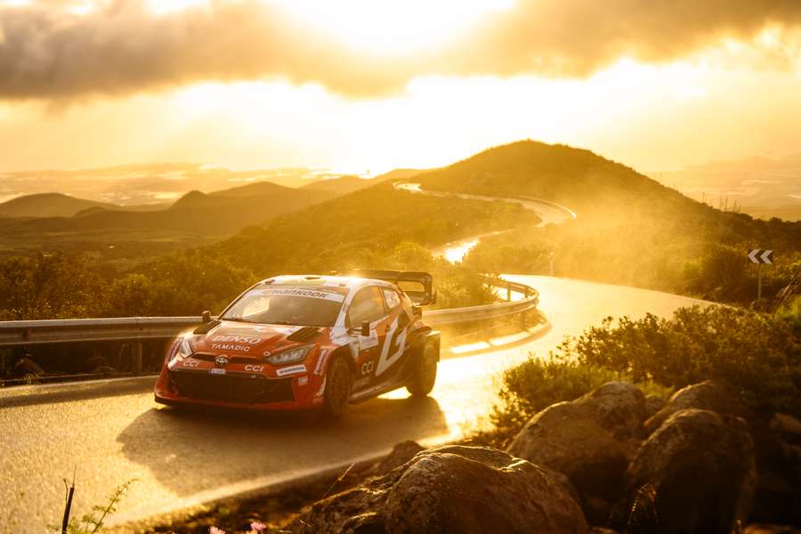 Ogier em ação