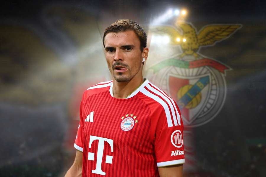 Palhinha spielt künftig für Benfica Palhinha spielt künftig für Benfica