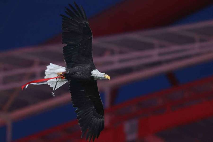 Segunda volta das eleições realizam-se este sábado Segunda volta das eleições realizam-se este sábado