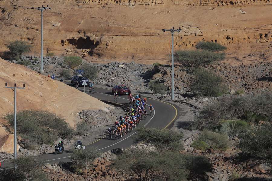 The pack rides during the fourth stage of 2023 Saudi Tour