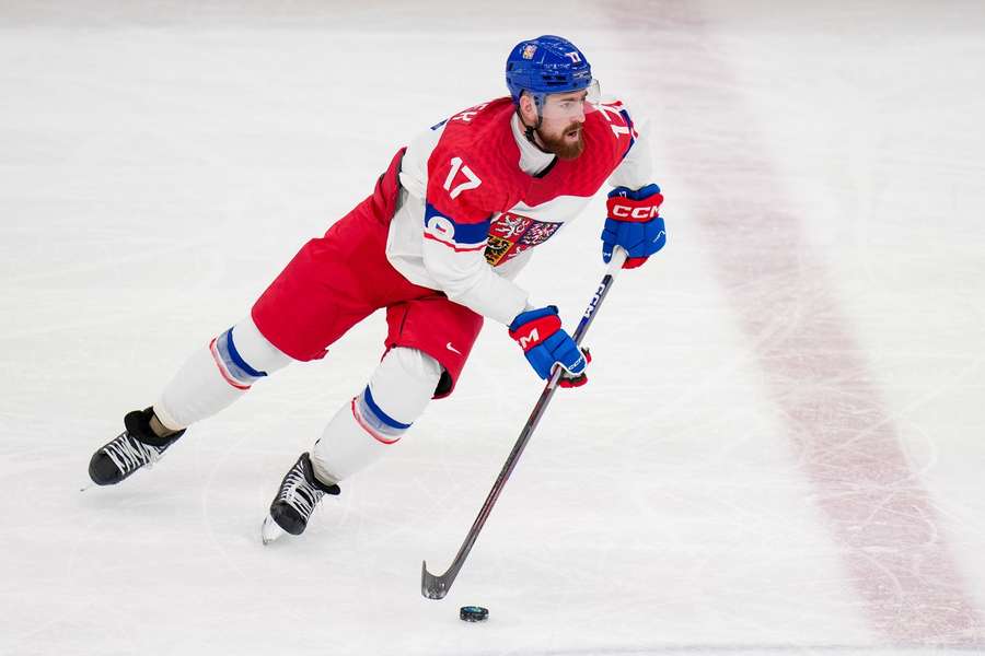 Hronek nechyběl na olympiádě.