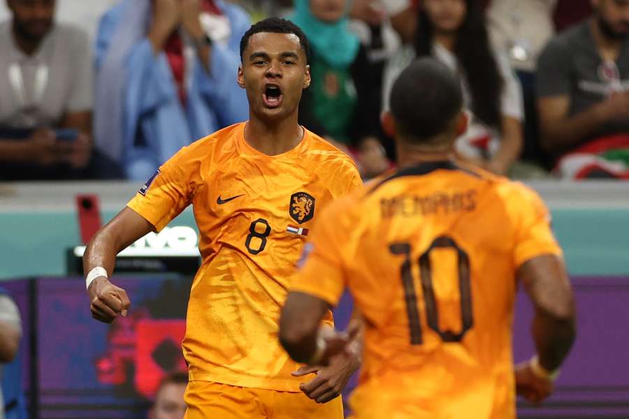 Netherlands stroll to victory over poor Qatar as Gakpo impresses