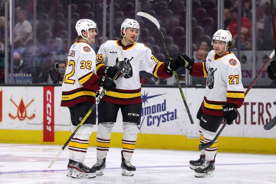 Chicago Wolves ovládli AHL po 14 letech