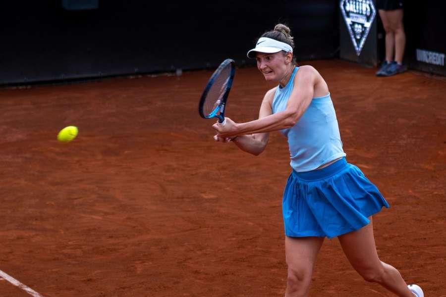 Irina Begu