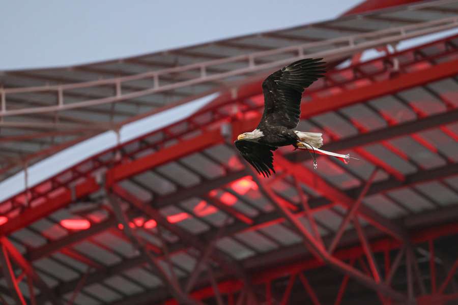 Benfica convocou AG para 03 de janeiro Benfica convocou AG para 03 de janeiro
