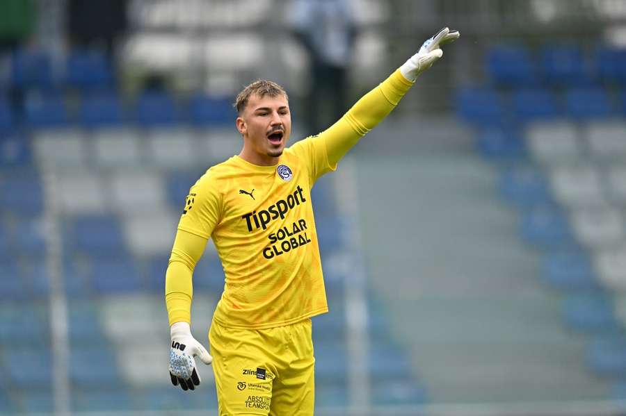 Posila brněnského Artisu - brankář Jiří Borek.