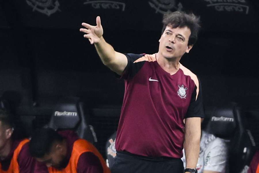 O time de Diniz foi derrotado pelo Cruzeiro em Itaquera O time de Diniz foi derrotado pelo Cruzeiro em Itaquera