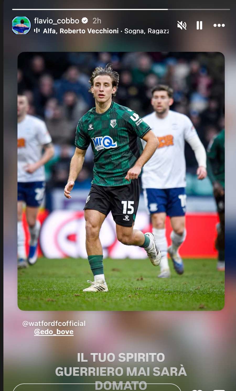 La story di Cobolli La story di Cobolli