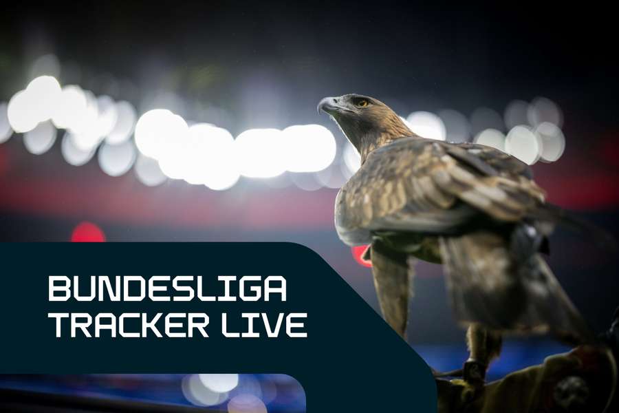Bundesliga-Tracker: 20. Spieltag LIVE bei Flashscore