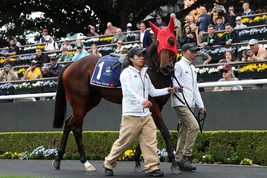 Ka Ying Rising at Royal Randwick racecourse in Sydney. Ka Ying Rising at Royal Randwick racecourse in Sydney.