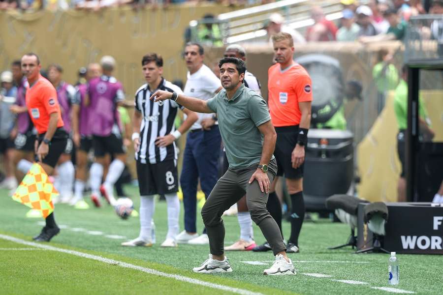 Palmeiras coach Ferreira on the touchline