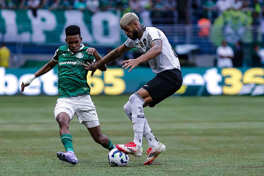 Palmeiras e Botafogo já se enfrentaram em 2025