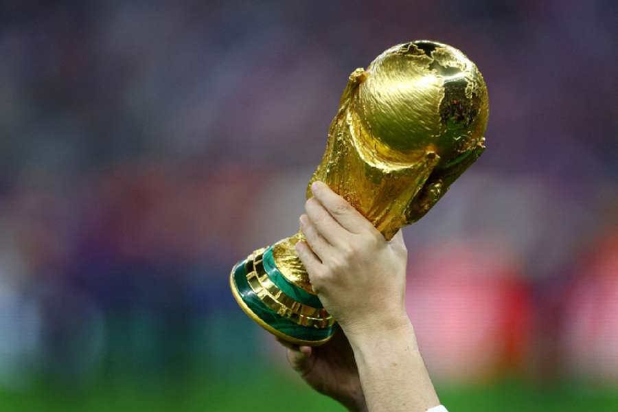 General picture of World Cup being lifted