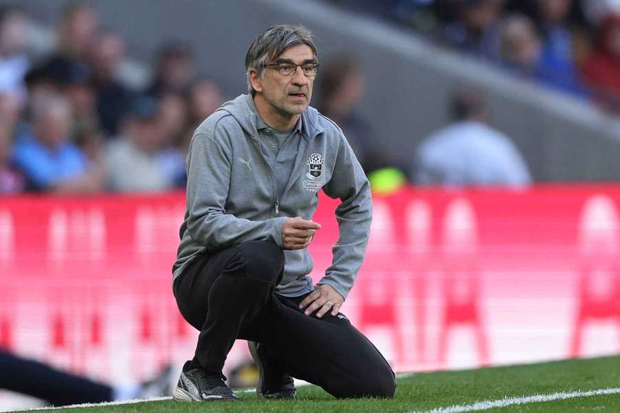 Southampton manager Ivan Juric looks on