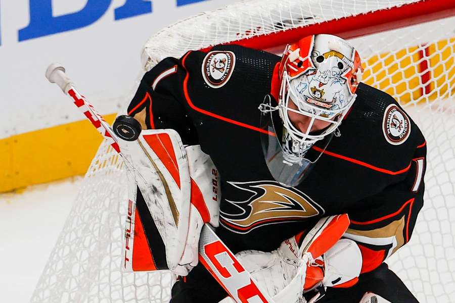 Český talent poprvé v sezoně povolán z farmy, Anaheim vytáhl do NHL Dostála