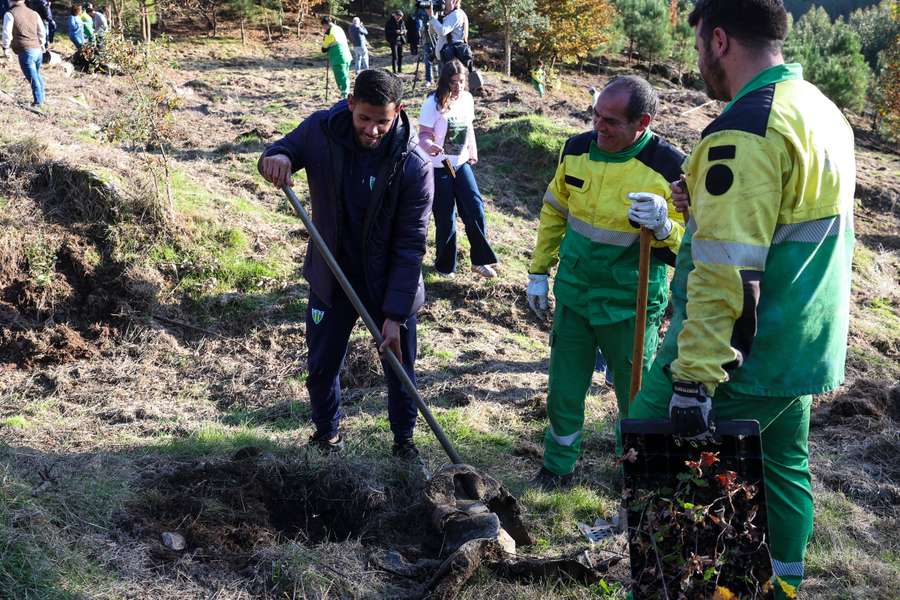 Bebeto, jogador e capitão do Tondela, na ação de reflorestação