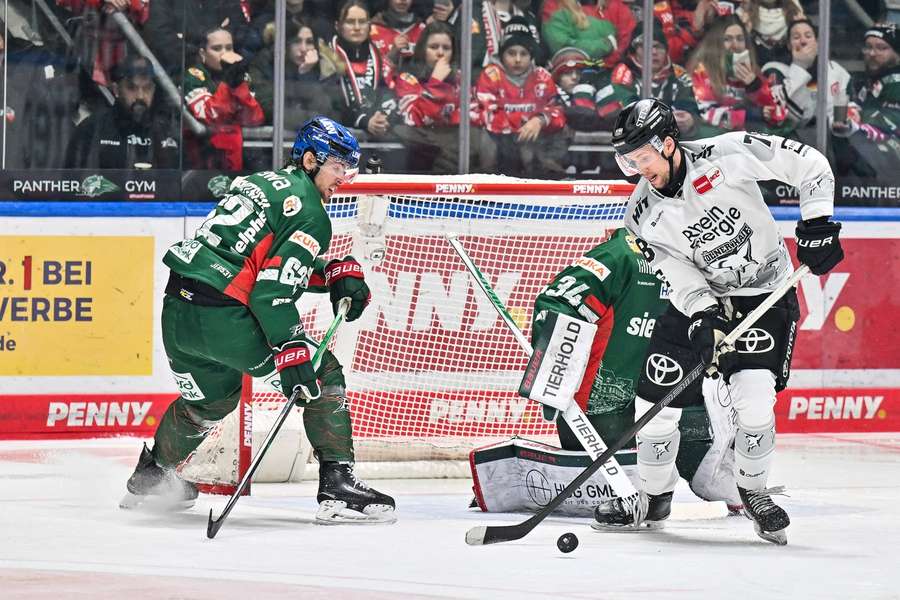 Dominik Bokk vor dem Netz. Dominik Bokk vor dem Netz.