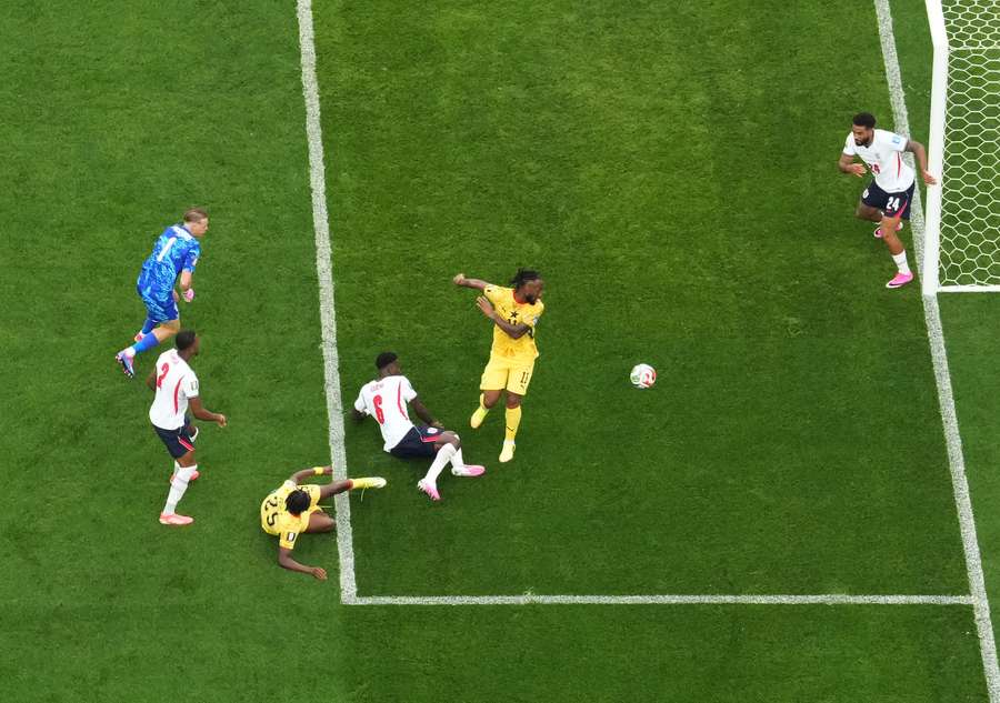 Adu in azione