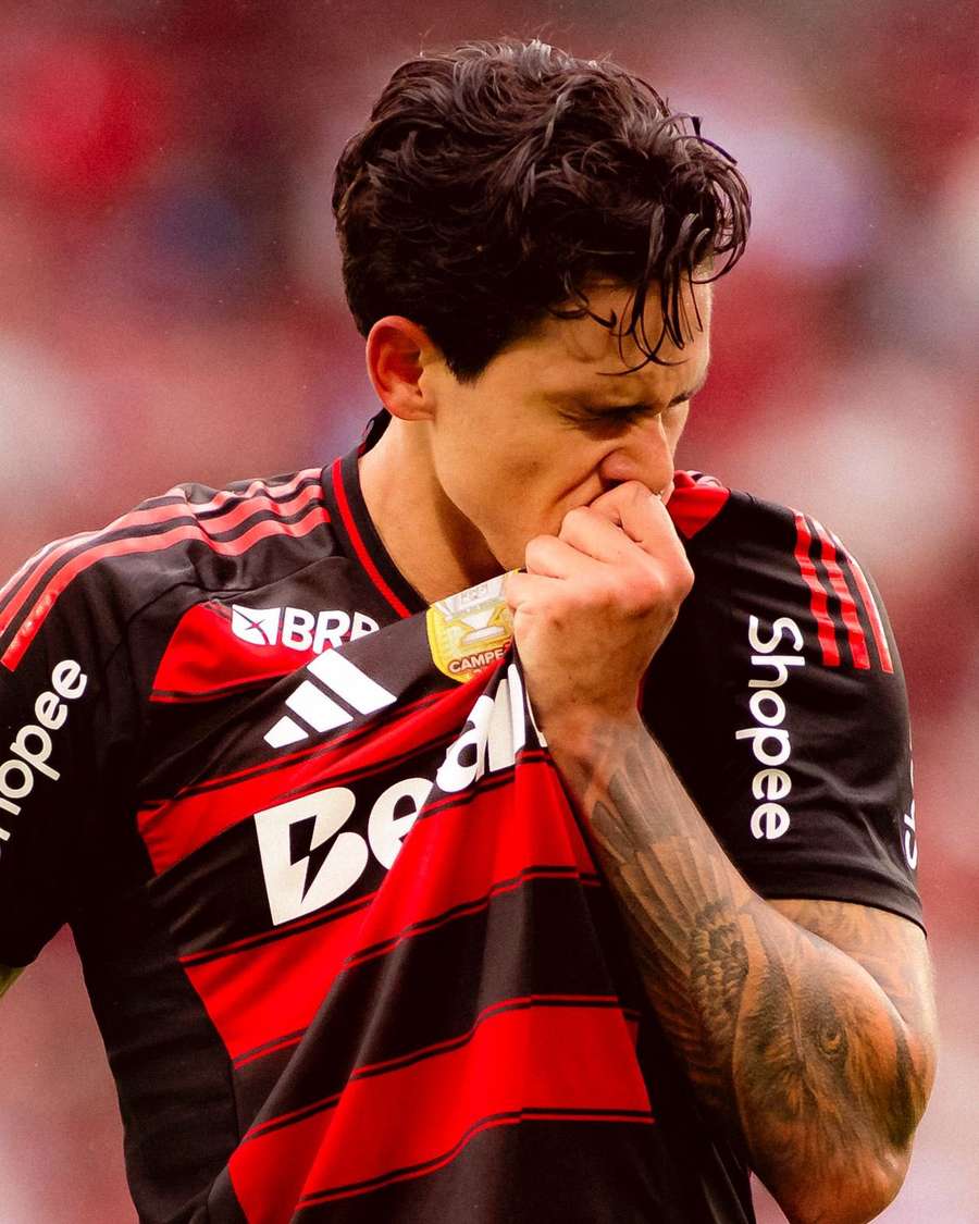 Pedro brilhou em Flamengo 3x2 Palmeiras Pedro brilhou em Flamengo 3x2 Palmeiras