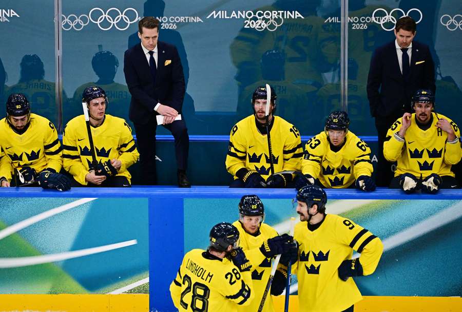 Švédska striedačka.