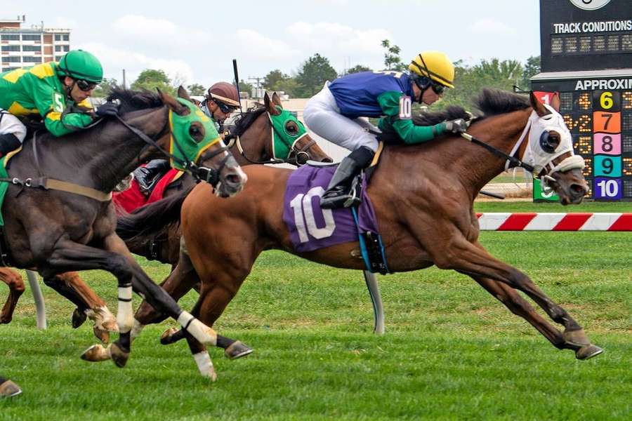 Horseracing-Horse bred by Queen Elizabeth wins race in Baltimore
