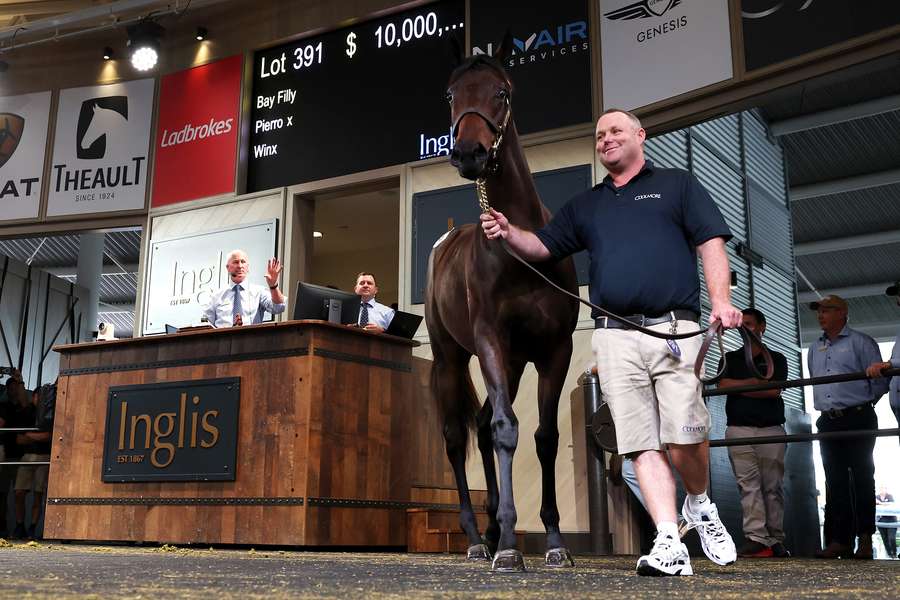 Quinceanera is paraded at the Inglis Sales before going for $10m.