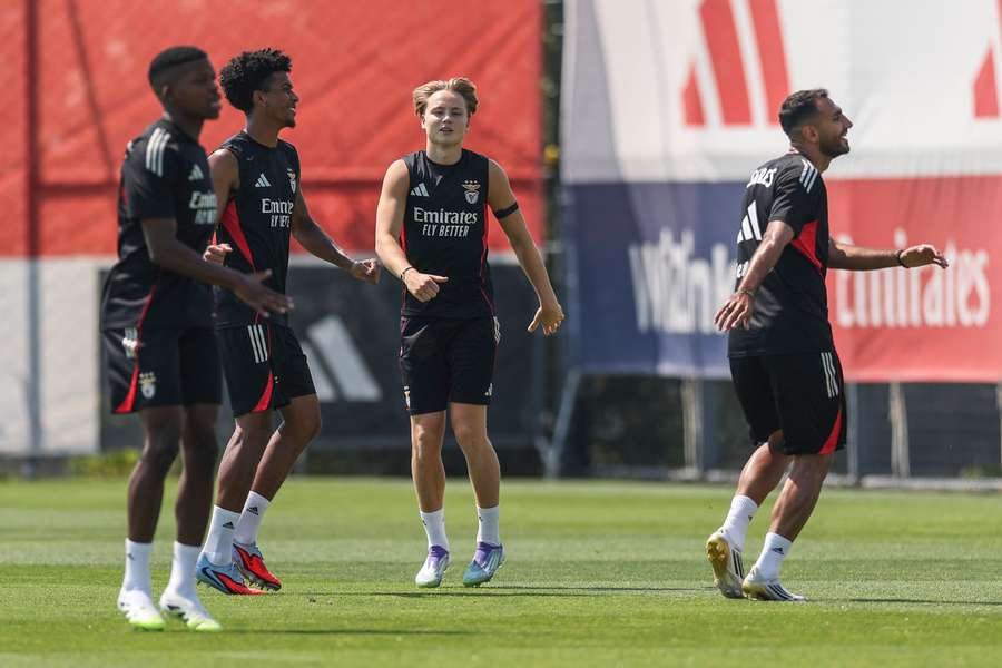 Schjelderup, jogador do Benfica
