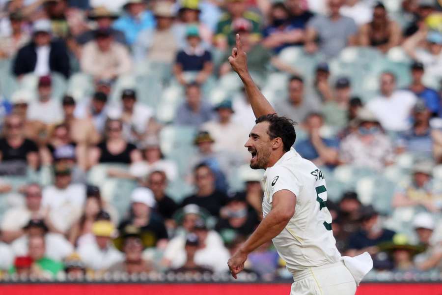 Starc is likely to come back into the side