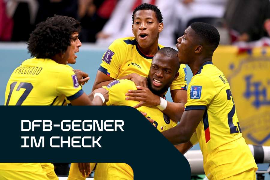 Ecuador gehört zu den Dark Horses der WM Ecuador gehört zu den Dark Horses der WM