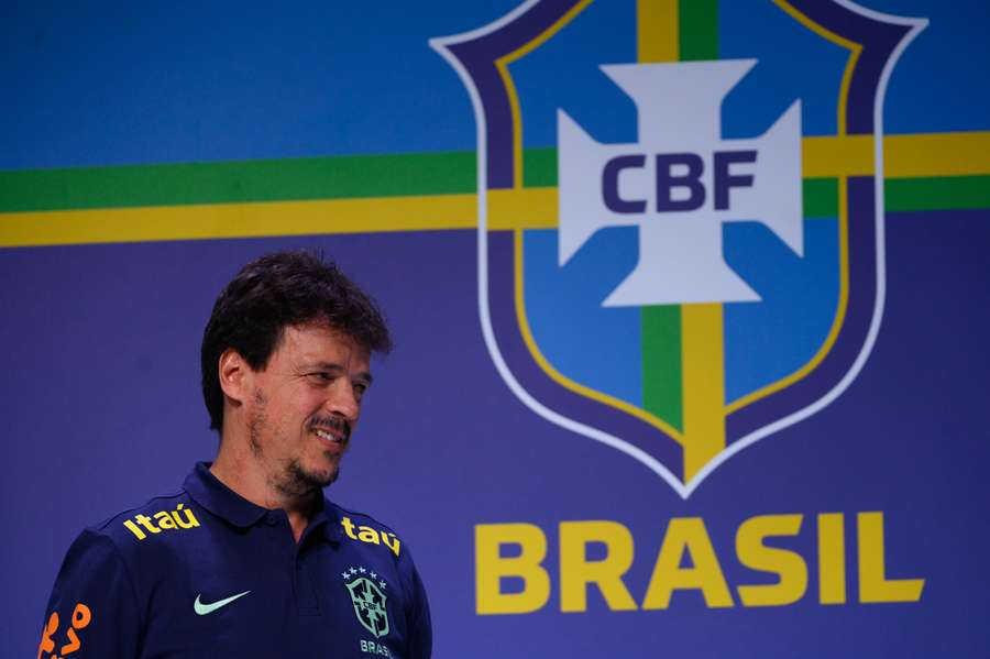 Diniz è stato nominato allenatore del Brasile con un contratto di un anno.