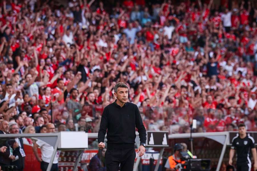 Bruno Lage, entrenador del Benfica, en un partido.