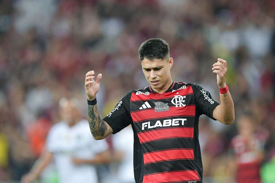 Luis Araújo, do Flamengo