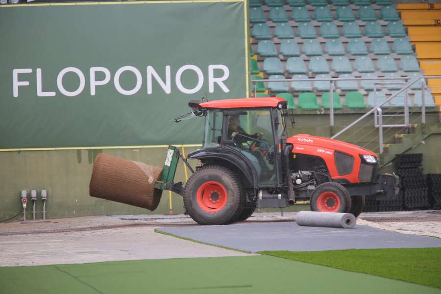 O novo relvado no Estádio João Cardoso