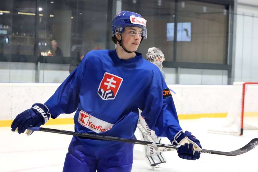 Dalibor Dvorský by mal byť lídrom Slovenska.