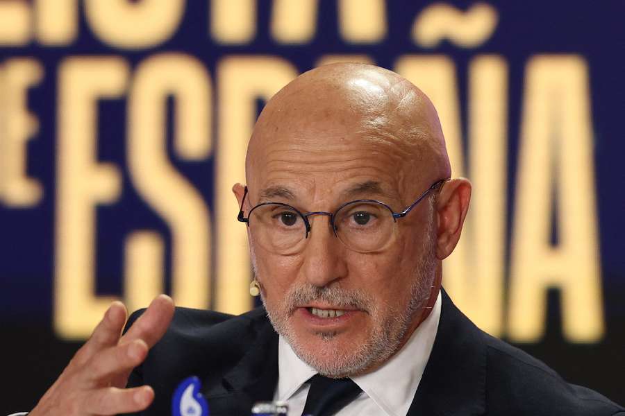 De la Fuente speaks during Spain's squad announcement