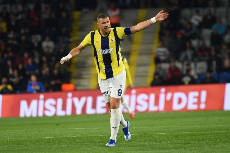 Bosnia and Herzegovina coach Barbarez: Dzeko will be Fiorentina success