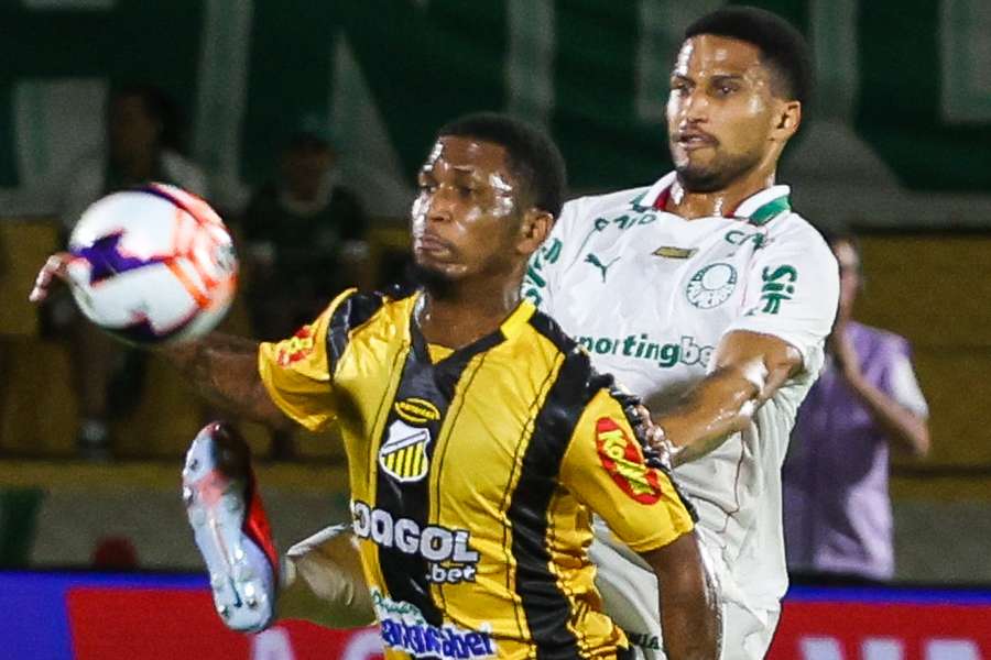 Palmeiras foi atropelado pelo Novorizontino no interior paulista
