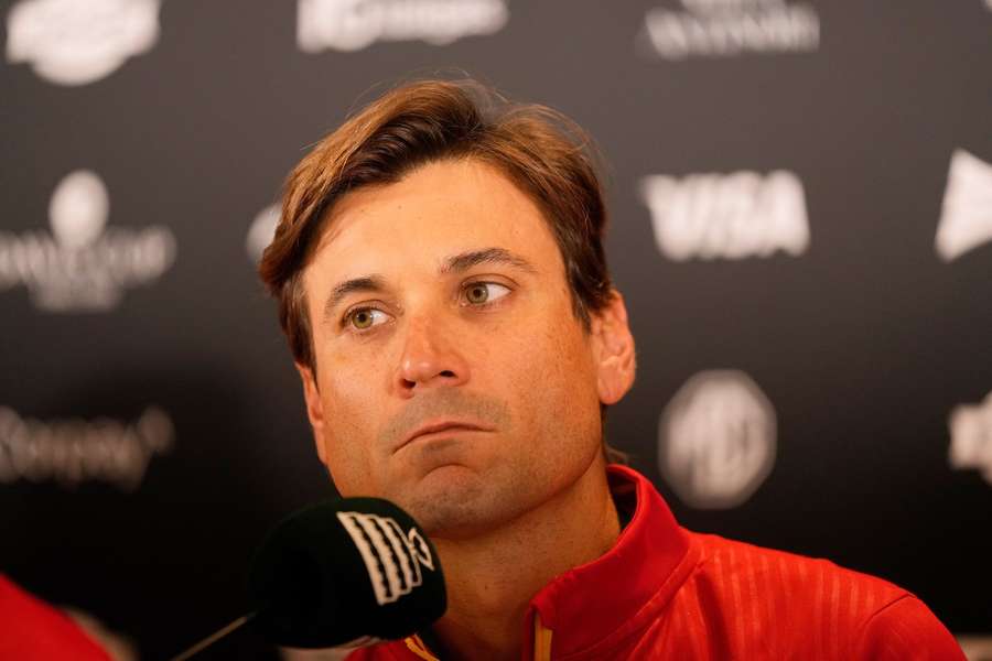 David Ferrer