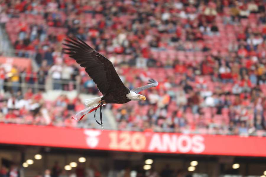 Eleições do Benfica marcadas para 25 de outubro