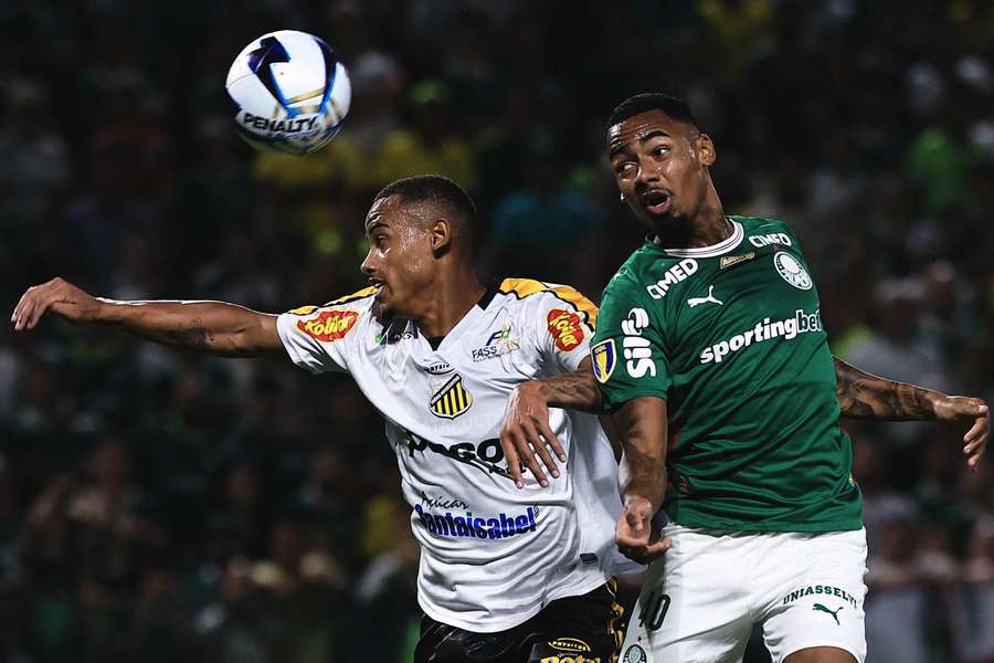 Novorizontino e Palmeiras decidem o título paulista neste domingo (8), em Novo Horizonte