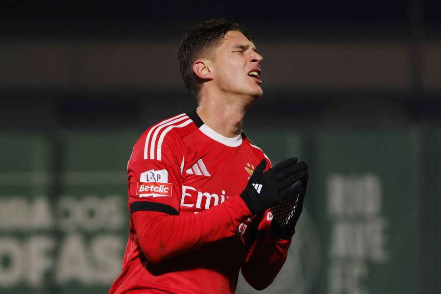 Sudakov, médio do Benfica