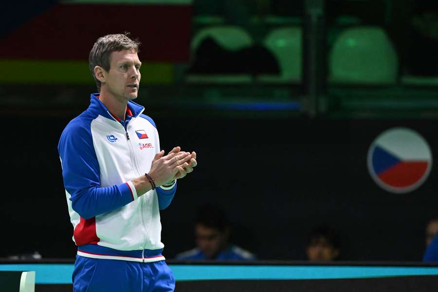 Tomáš Berdych během Davis Cupu.